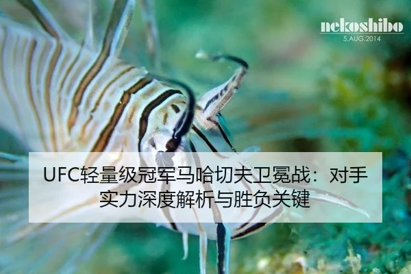 qing-liang-ji-guan-jun-ma-ha-qie-fu-wei-mian-zhan-dui-shou-shi-li-shen-du-jie-xi-yu-sheng-fu-guan-jian-3-326.jpg