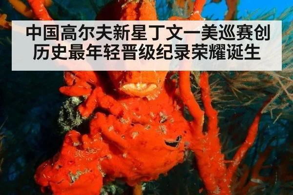 中国高尔夫新星丁文一美巡赛创历史最年轻晋级纪录荣耀诞生